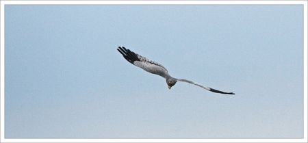 BC__face_ciel_matin_8_210509
