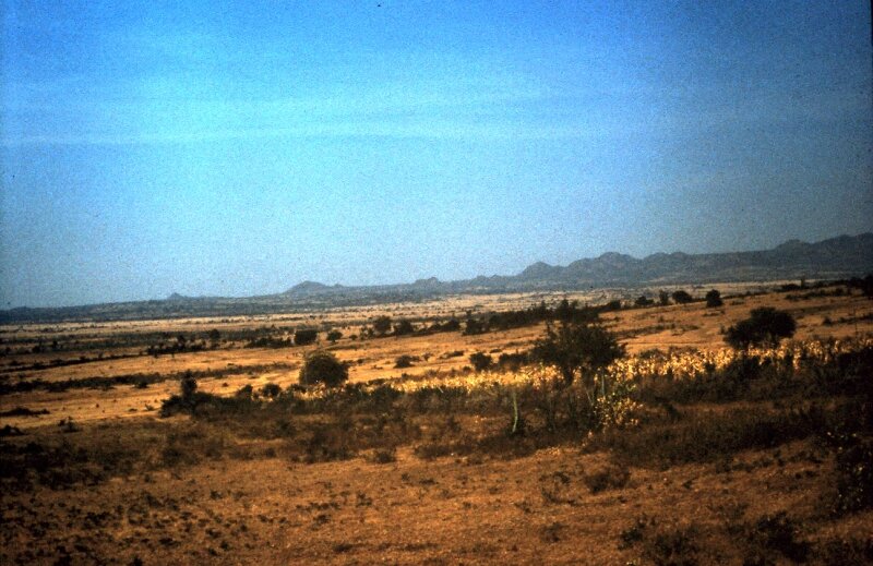tanzanie 30