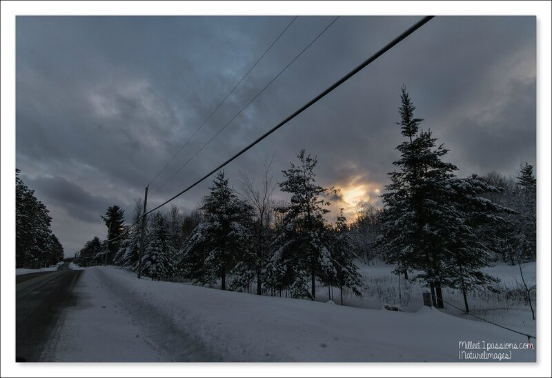 IMG_2854-1