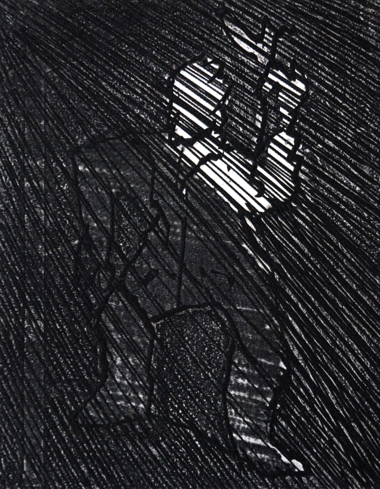 BG1_0170