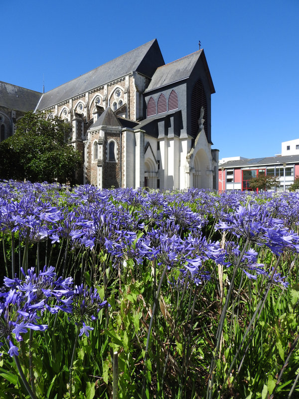 Eglise de Saint Nazaire (44)