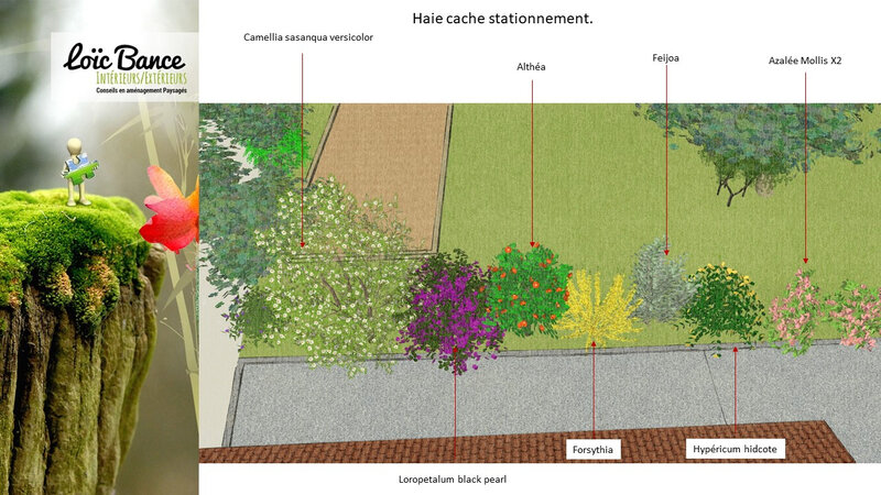 Paysagiste-Seignosse-amenagement-paysager-45