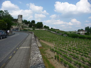 Photo_de_Pascal_Ramecourt_109