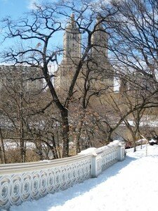 Central_Park_Snow__11_