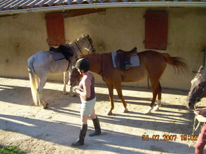 DAMIATTE_2007_038