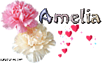 amelia_1_