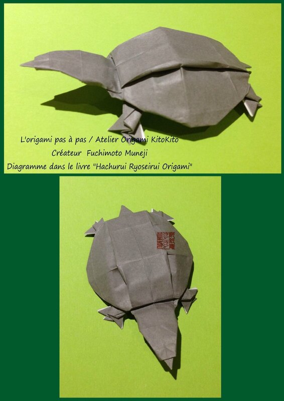 Atelier Origami KitoKito _ Tortue à carapace molle 6