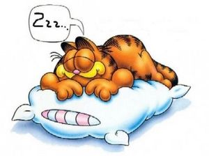 Garfield_sieste