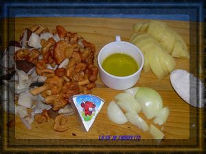 champignons des bois 1