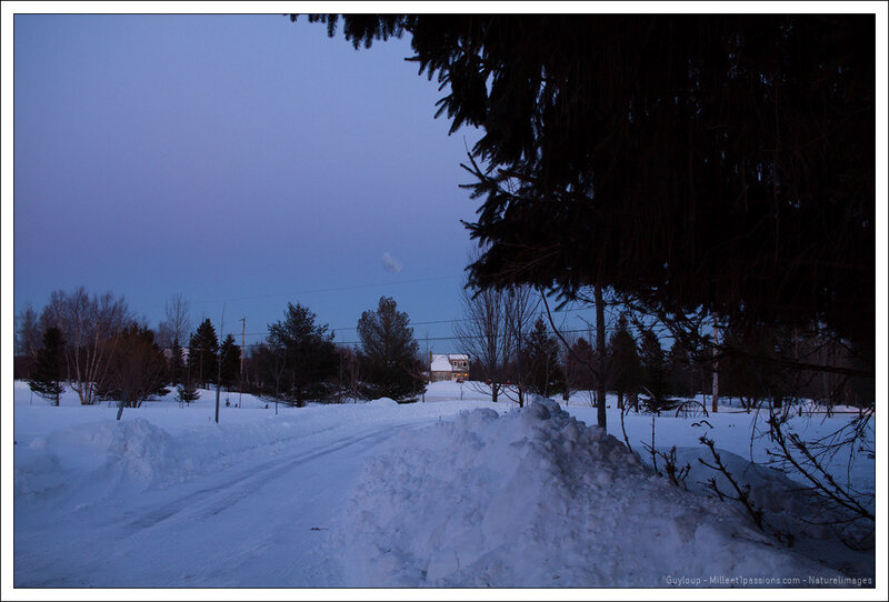 IMG_3359-1-2