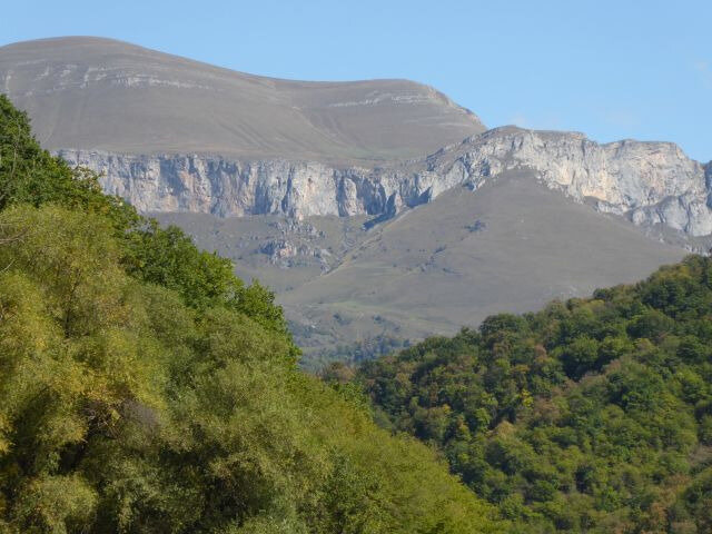 a26