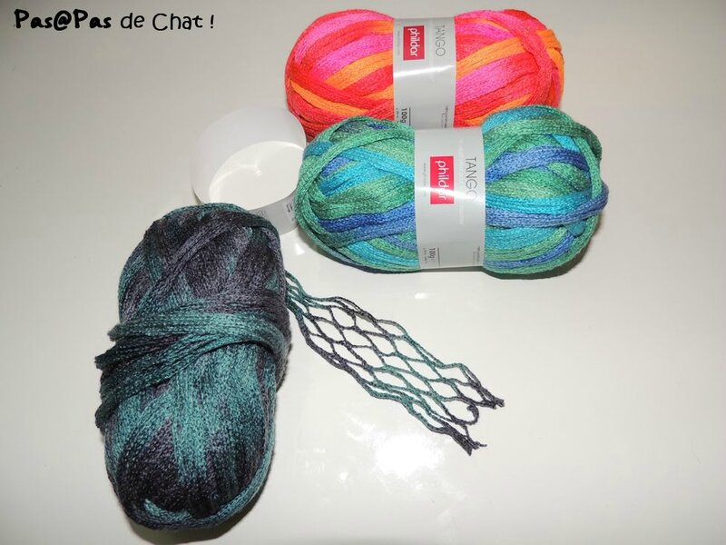 echarpeverte0-pasapasdechat