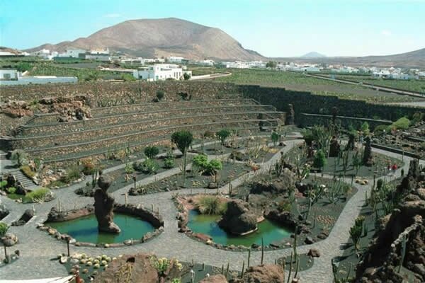 lugares_de_interes_jardin_de_cactus_grande_lanzarote_taxi