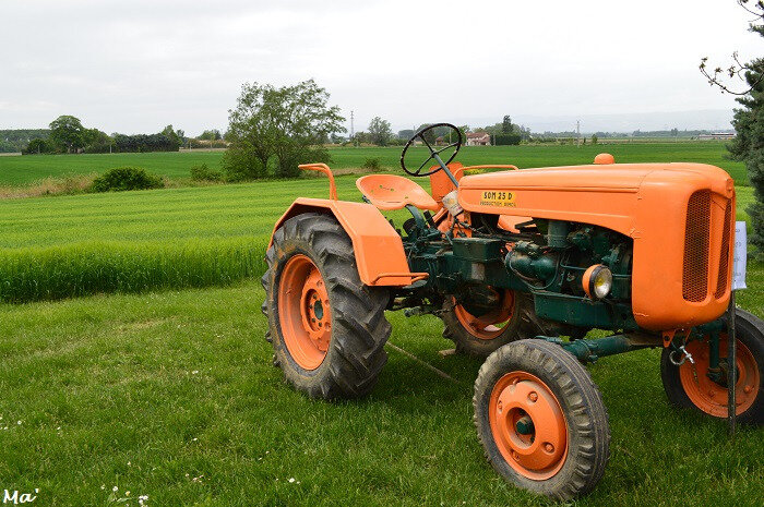 180429_ferme_marais_2