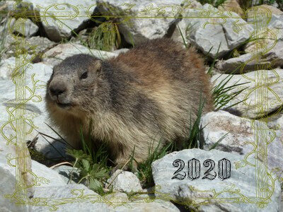 marmotte-A-Citterio-4-640x480