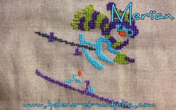 merian ES_saljanv15_5