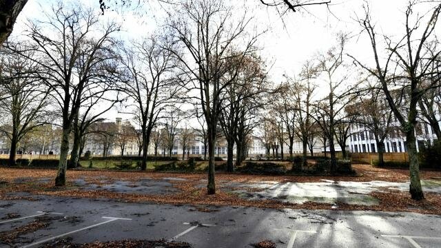 caen-projet-republique-feu-vert-pour-l-abattage-des-arbres-mais