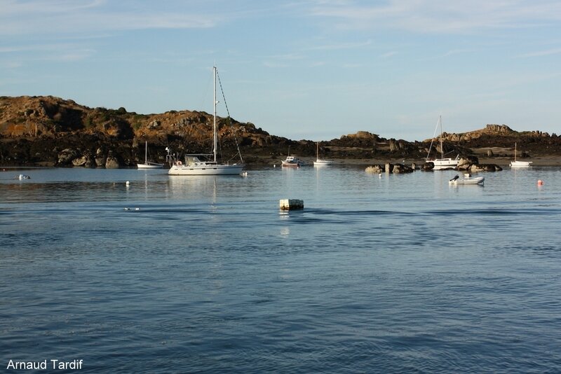 00987 Bretagne Saint-Coulomb - L'Ile Chausey - Le Sound