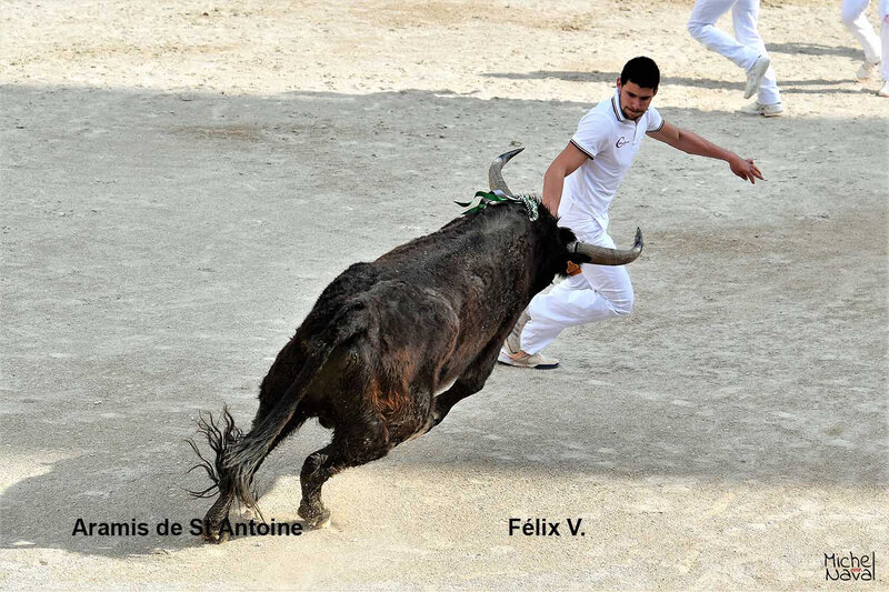 LE 30 03 2018 ARLES (12)