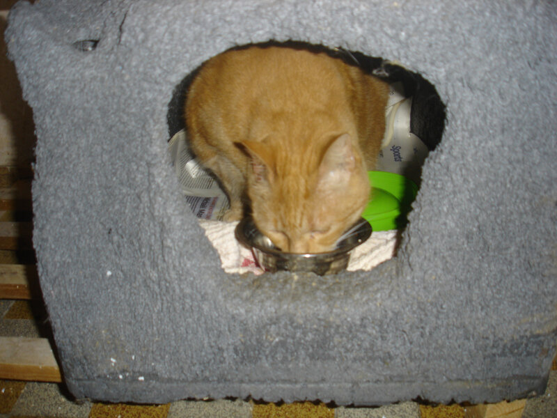 DSC06235