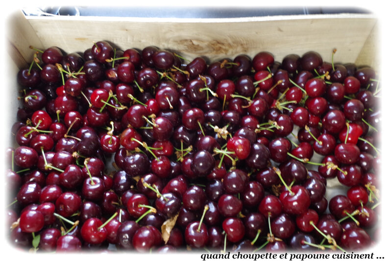 bocaux de cerises au naturel-3518