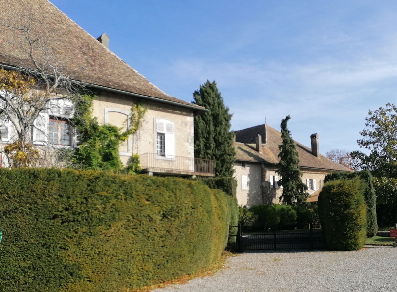 ripaille