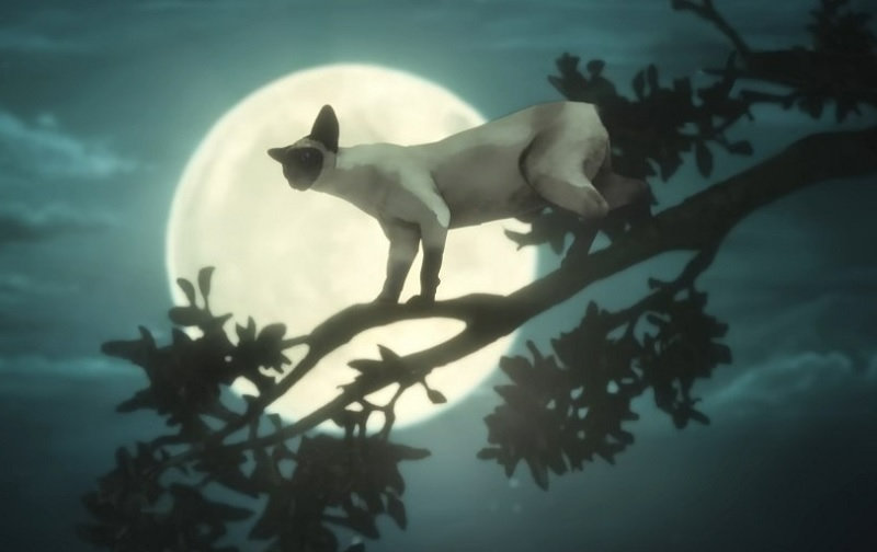 Sandman Episode 11 Dreams