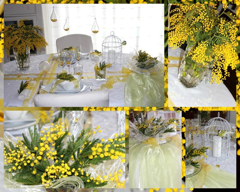 TABLE MIMOSA3