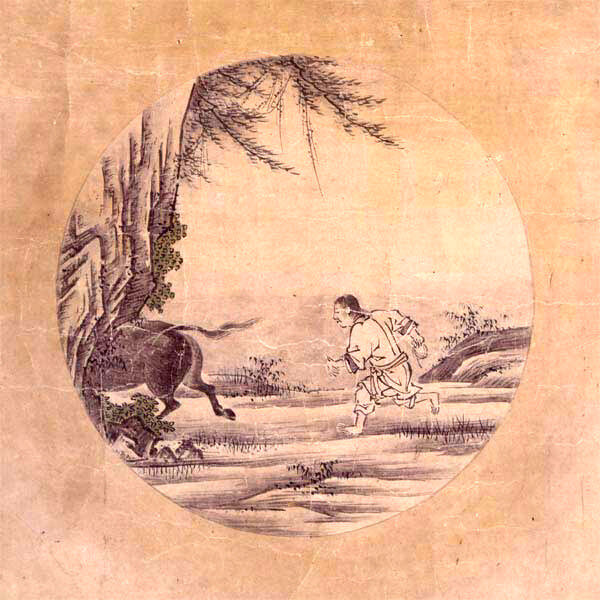 3- Découverte du Bœuf