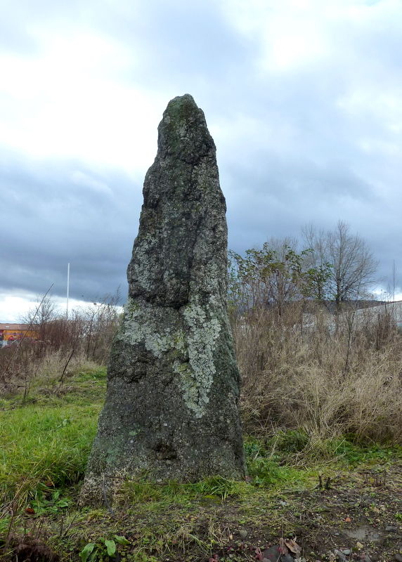 menhir de la Pierre piquée à Aubière