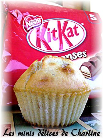 muffins_kit