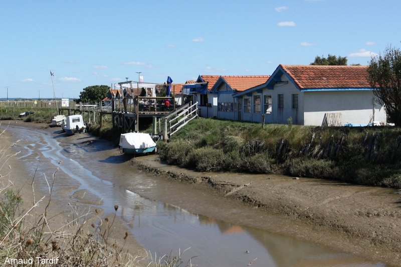 00143 Estuaire de la Gironde - Côté Médoc - Secteur des Mattes - Le Port de Talais