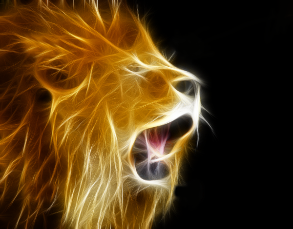 lion_fractal_by_xshiirley_d31c5tx