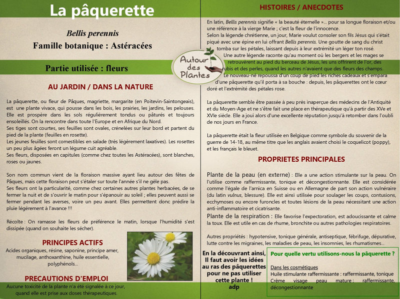 14_40 La-pâquerette pdf
