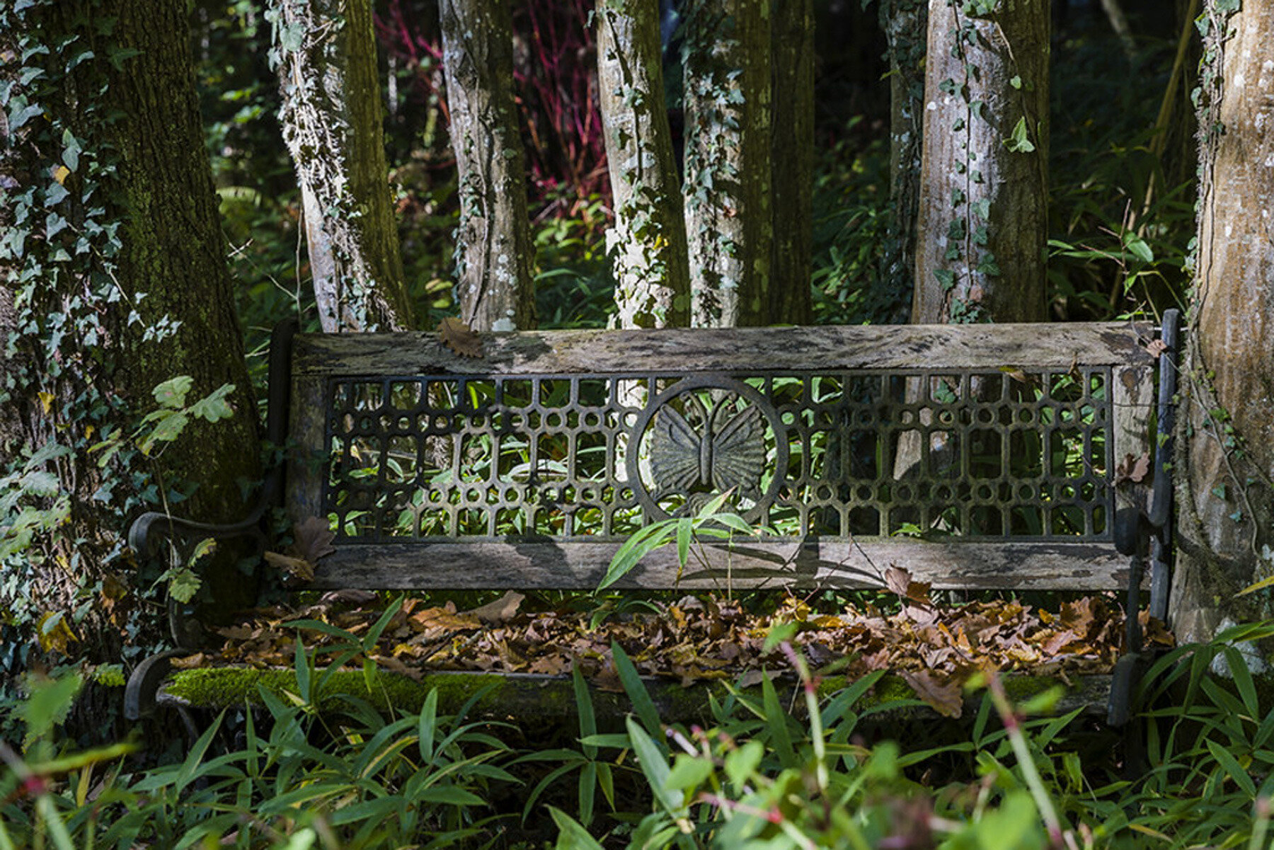 Banc couvert de feuilles mortes - Jardin des Dentelles (45)