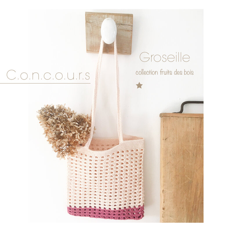 Sac-Groseille-CONCOURS