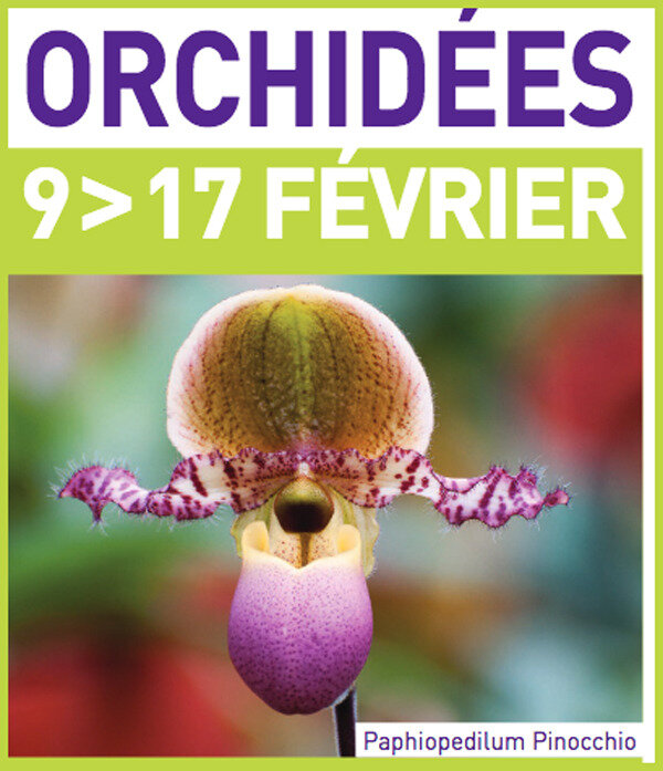 Expo-Orchidées-2019