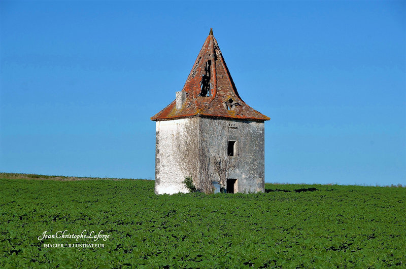 cabane plein champ juillet 08