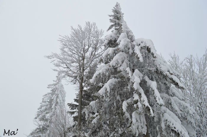 150208_FontdUrle1