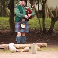 2011 Highland Y'en a encore