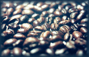 coffeebeans9