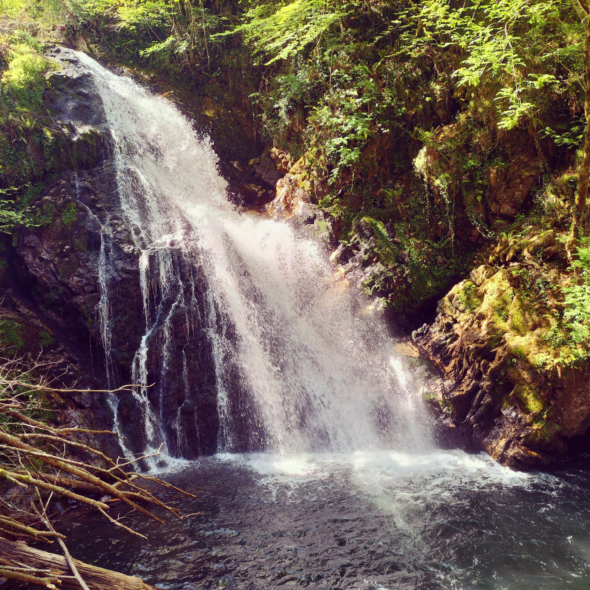 Erratzu, Cascade de Xorroxin, insta (Espagne)