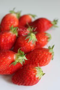 IMG_3979