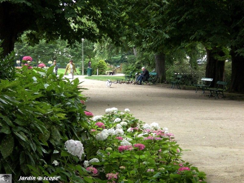 De larges allées pour ce promener au cœur de Tours