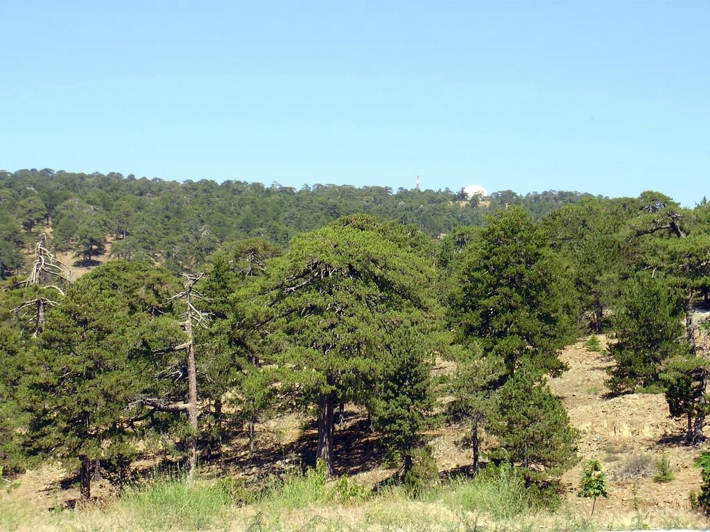 P7300130