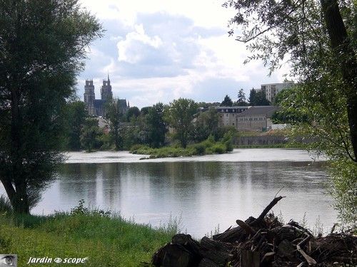 Vue sur Orléans et sa cathédrale depuis l'Ile Charlemagne