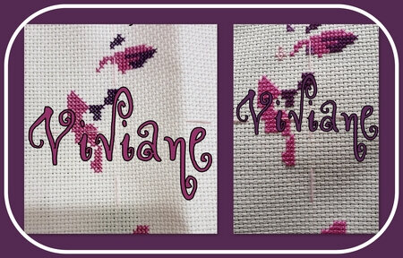 viviane_salchatcol_col1