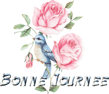 bj_oiseau_rose