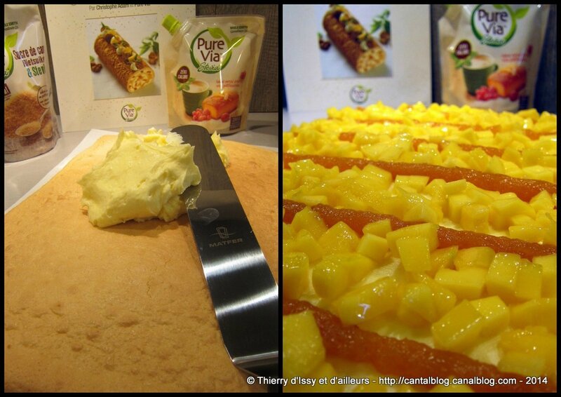BUCHE MANGUE PASSION CHRISTOPHE ADAM PURE VIA