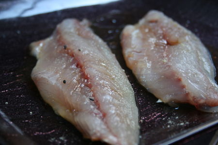 chinchard_004